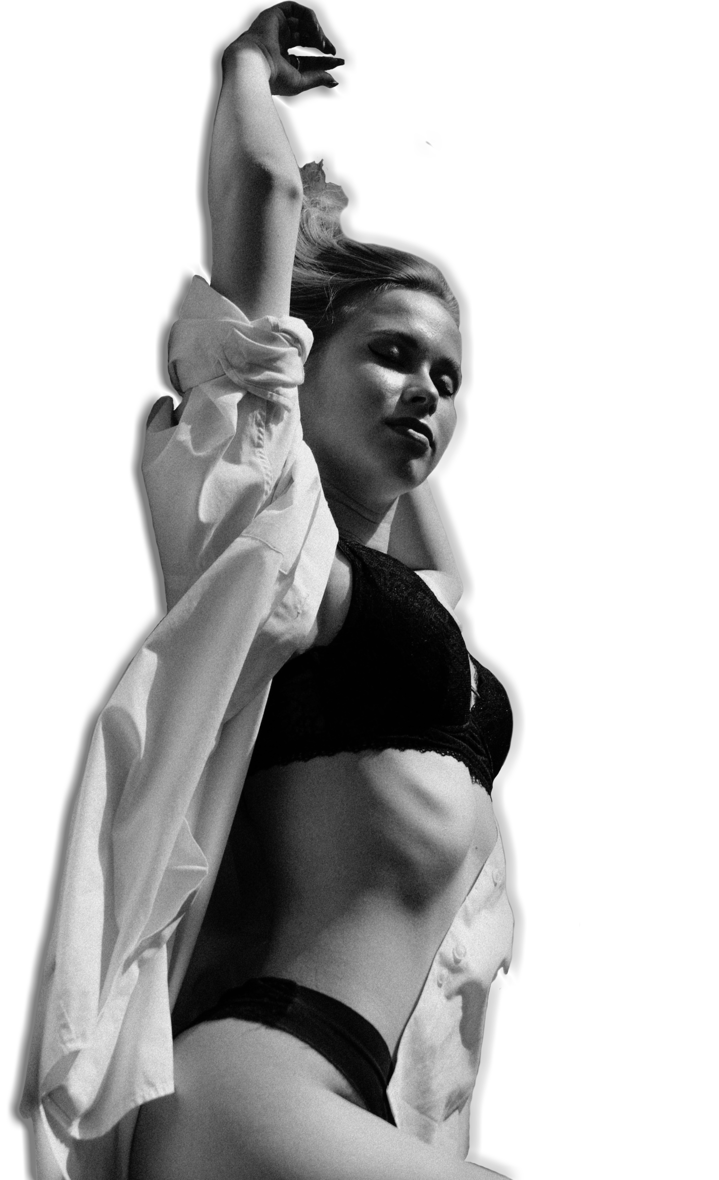 White Horse Only Funs